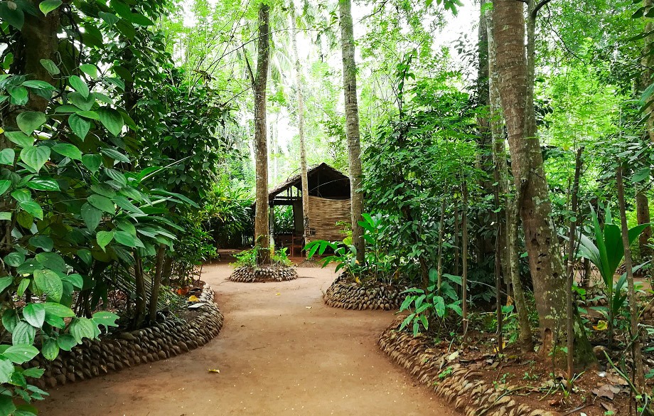 Traditional Ceylon Herbs and Spice Village visit on a Nuwara Eliya city tour